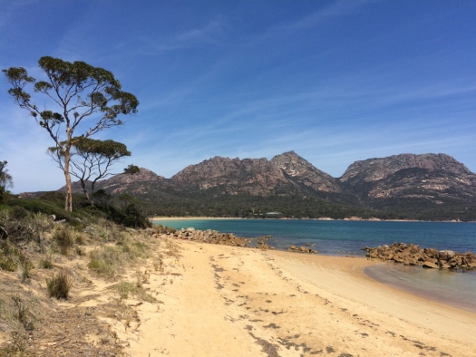 freycinet_park.jpg